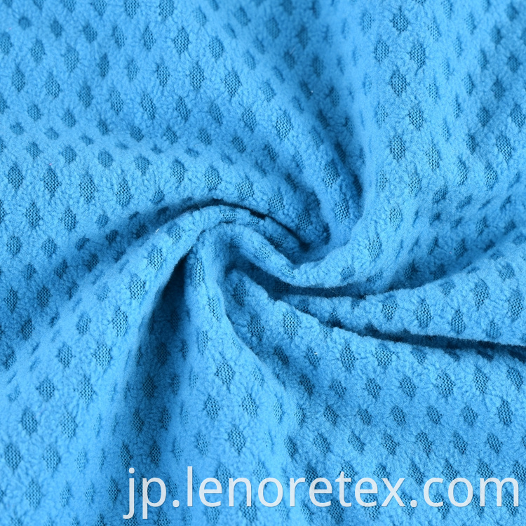 Polar Fleece Fabric